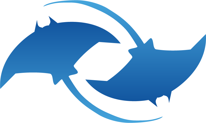 Logo Velmanta
